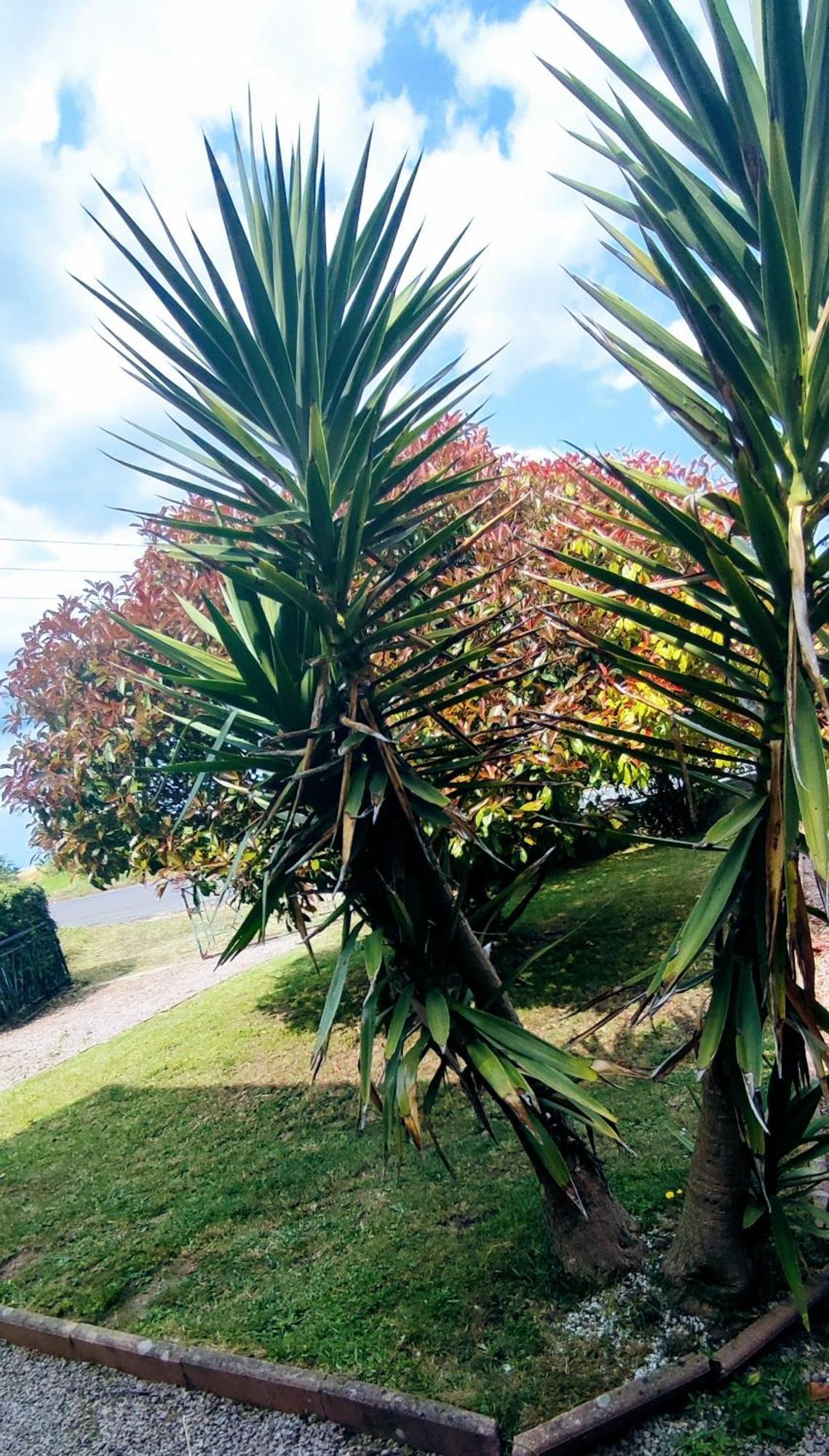 Studio De La Baie Langueux Exteriér fotografie